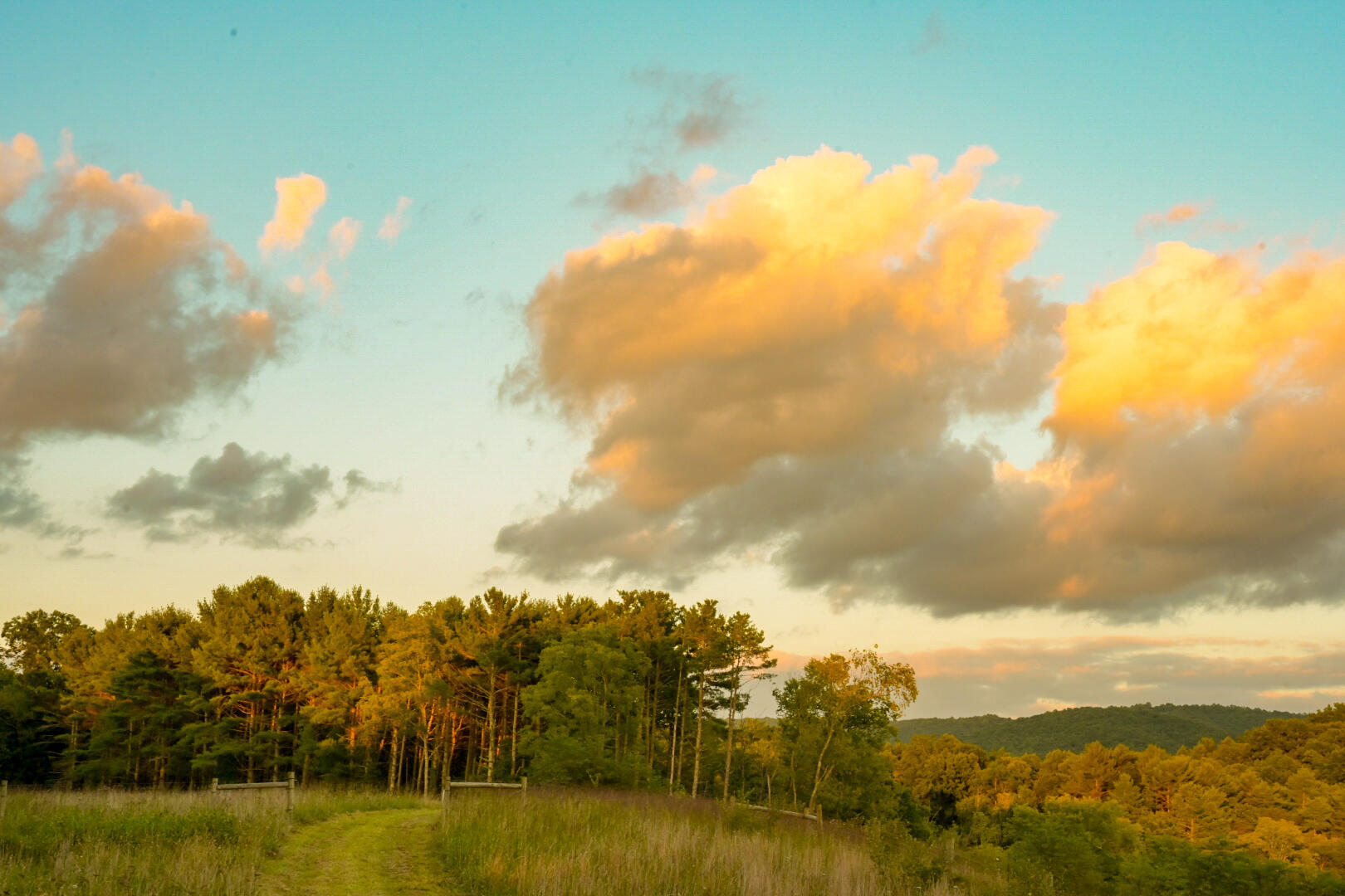 Tbd Highland Park Rd, Secondcreek, West Virginia image 10