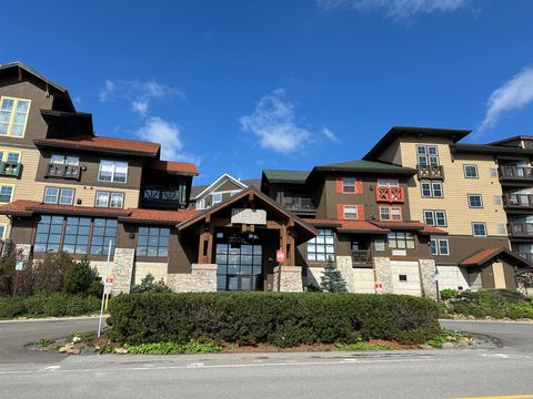 Homes For Sale - 343 Rimfire Lodge<br/> Snowshoe, WV 26209