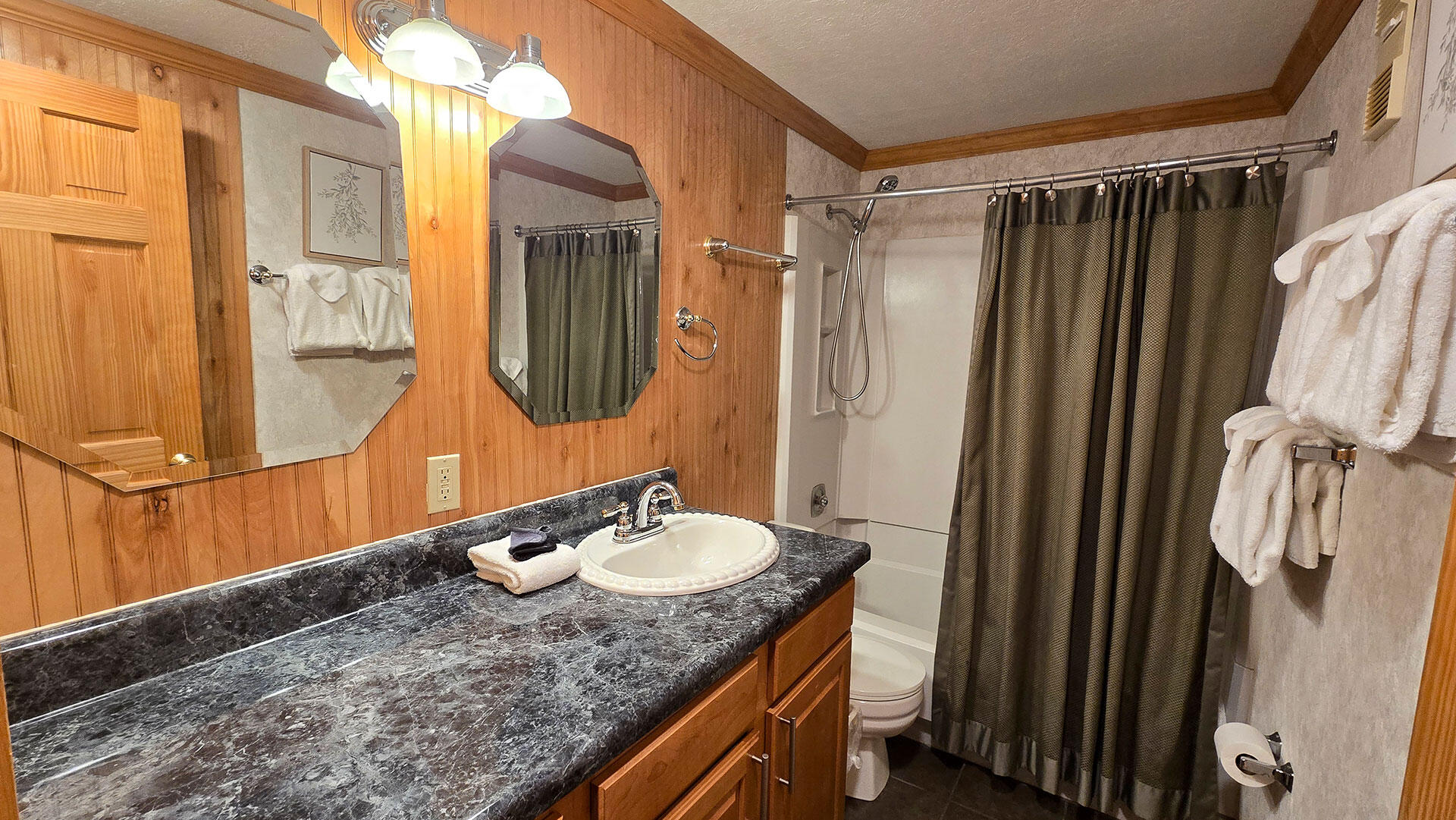 212 Mountain Lodge, Snowshoe, Alaska image 8