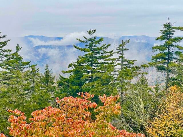 1091 N Westridge Road, Snowshoe, West Virginia image 43