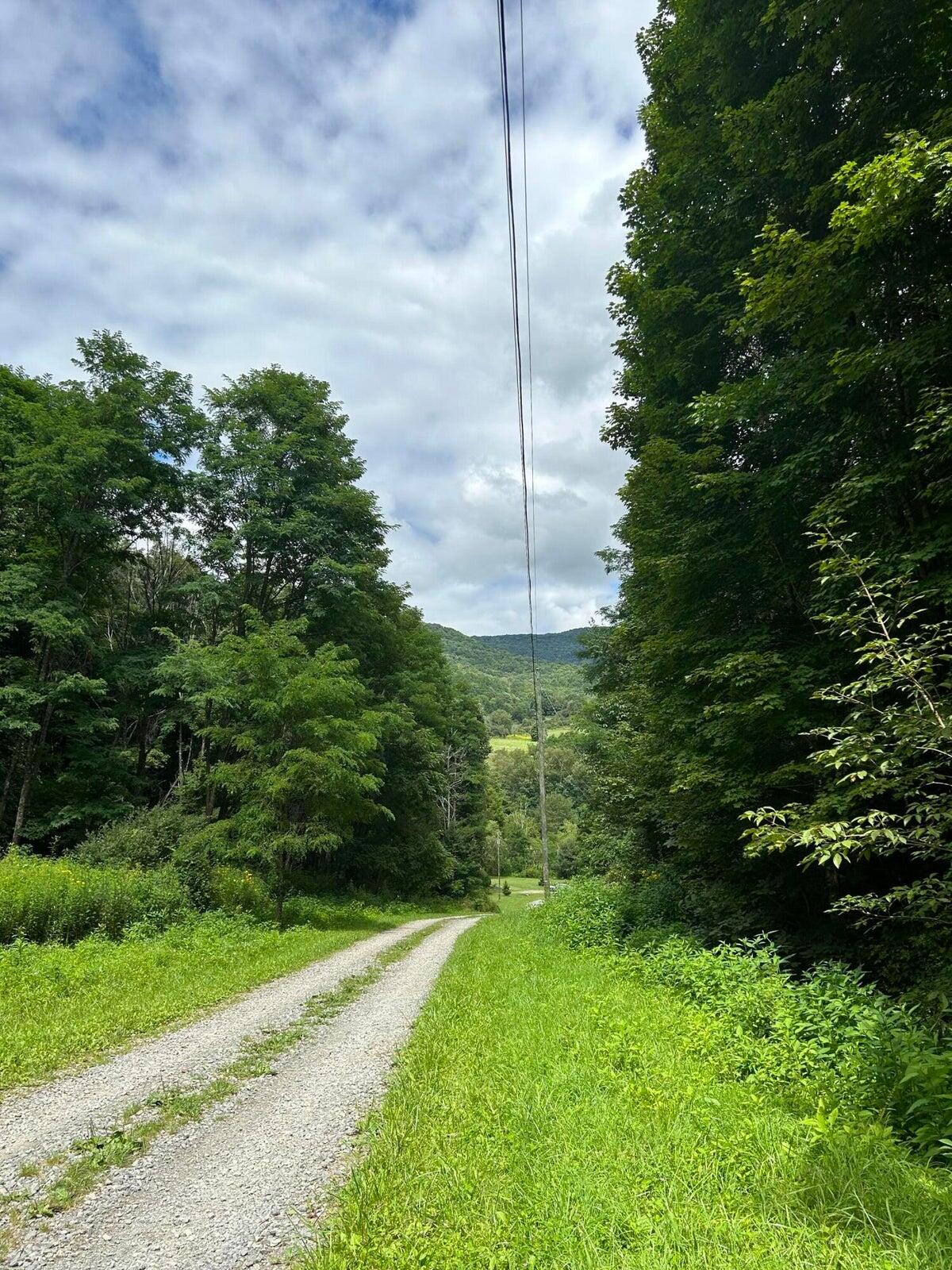 10275 Tract Two Little Mountain Dr, Hillsboro, West Virginia image 1