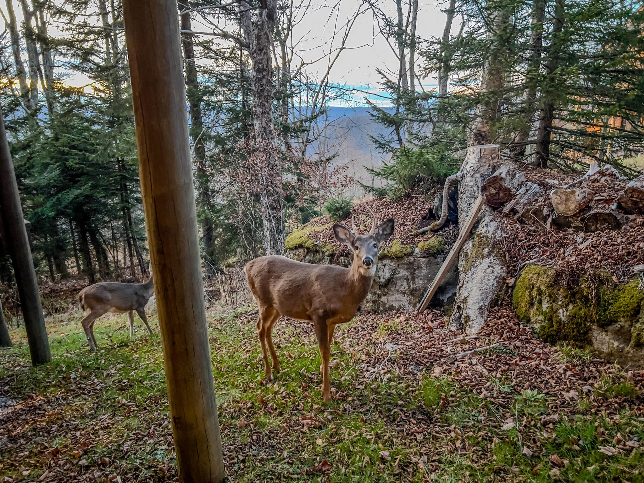 1029 S West Ridge Rd #LOT 44, Snowshoe, West Virginia image 8