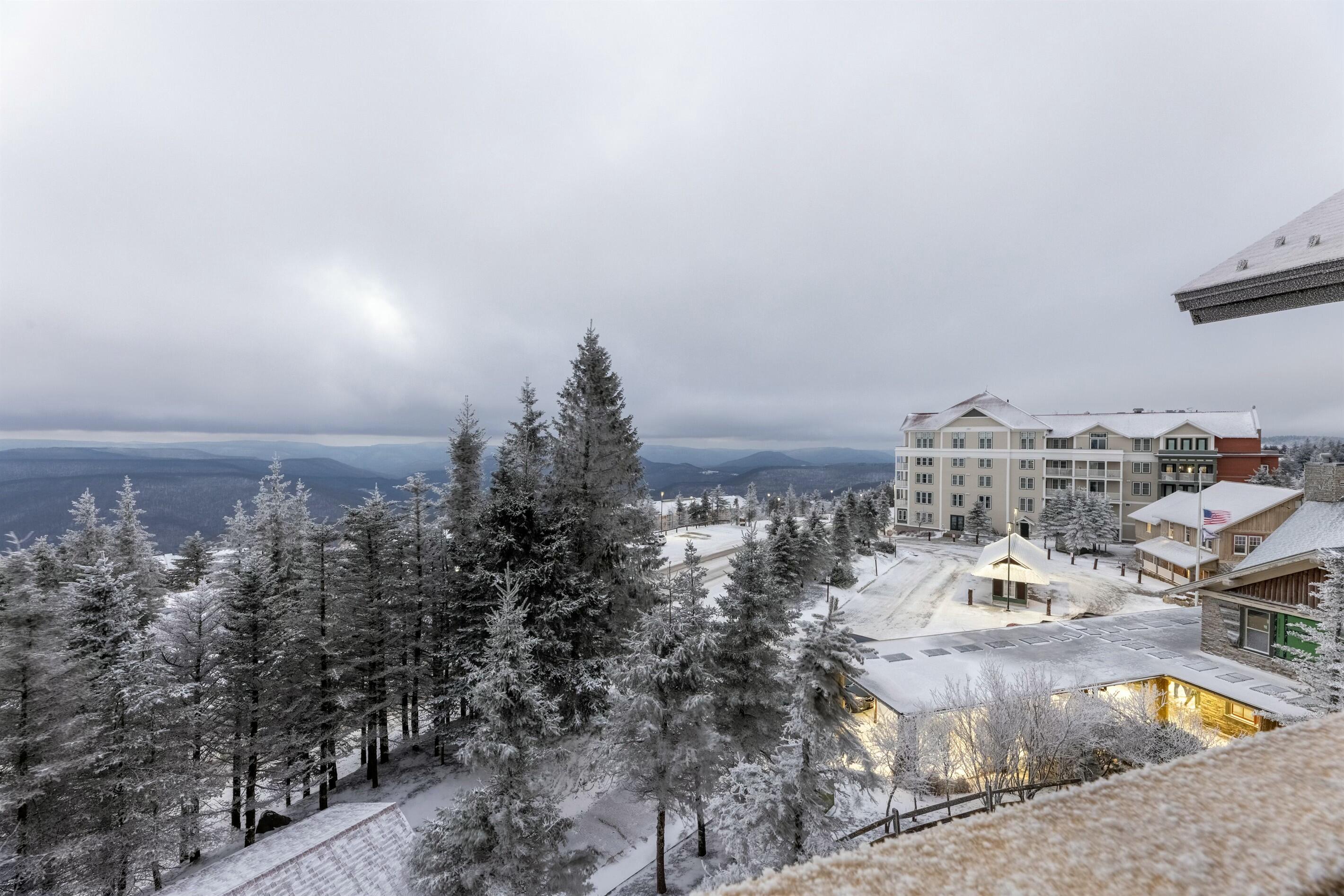 312.313 Rimfire Lodge, Snowshoe, West Virginia image 21