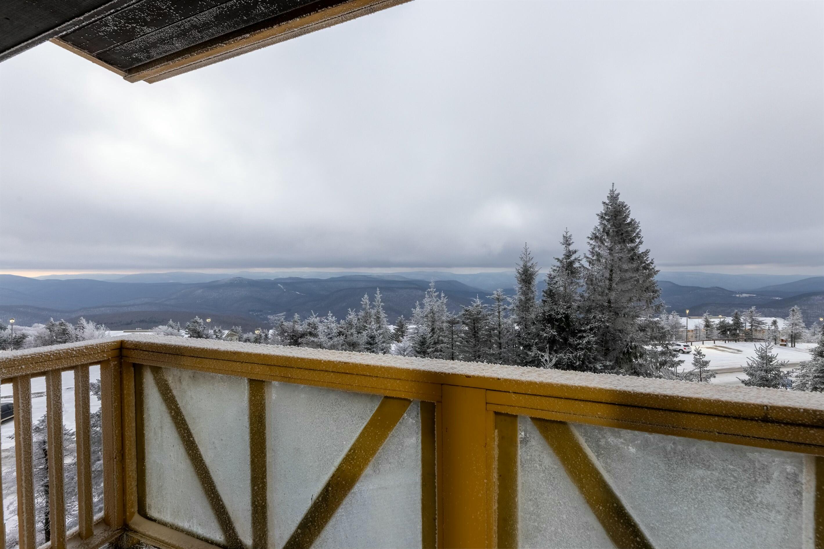 312.313 Rimfire Lodge, Snowshoe, West Virginia image 20