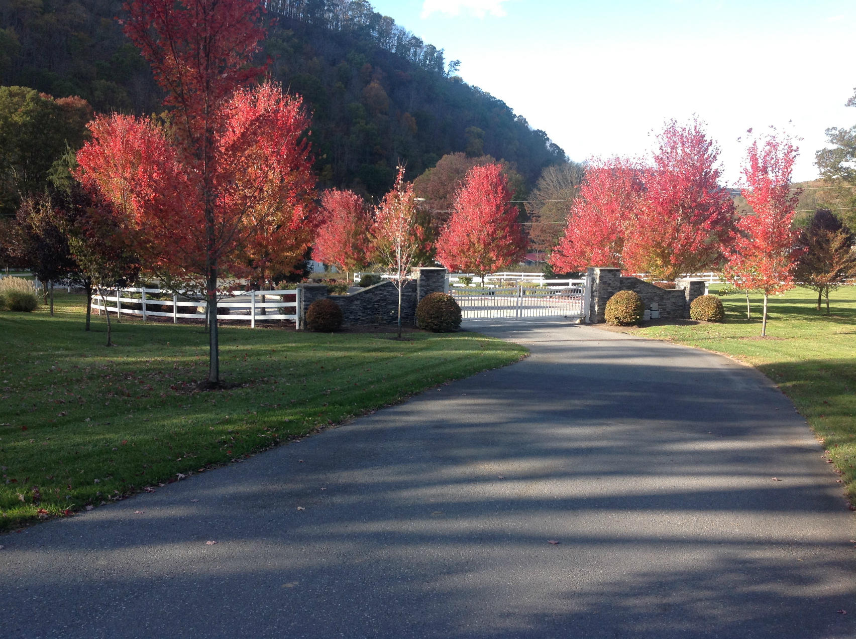 Lot 117 Withrow Lndg #117, Caldwell, West Virginia image 6