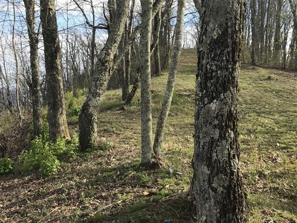 Lot 117 Withrow Lndg #117, Caldwell, West Virginia image 5