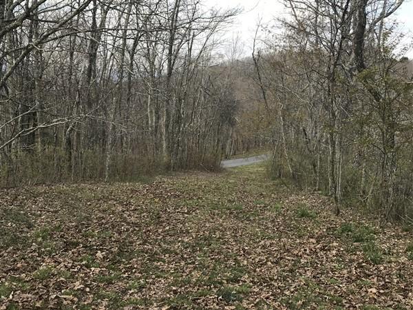 Lot 117 Withrow Lndg #117, Caldwell, West Virginia image 36