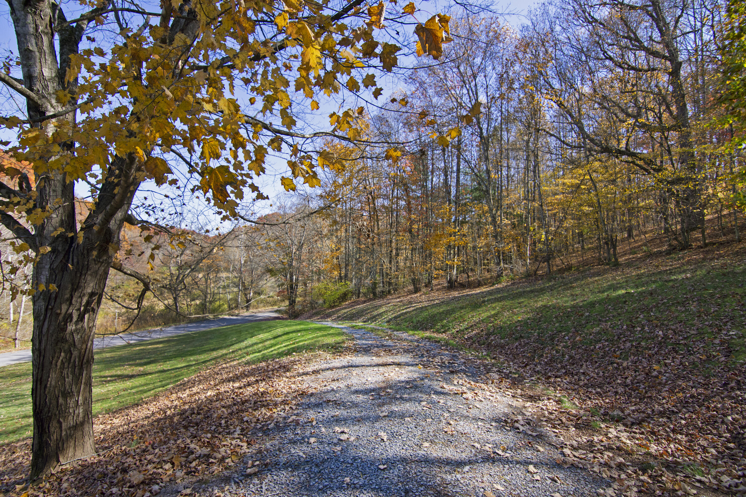 1674 Snake Run Rd, Alderson, West Virginia image 48