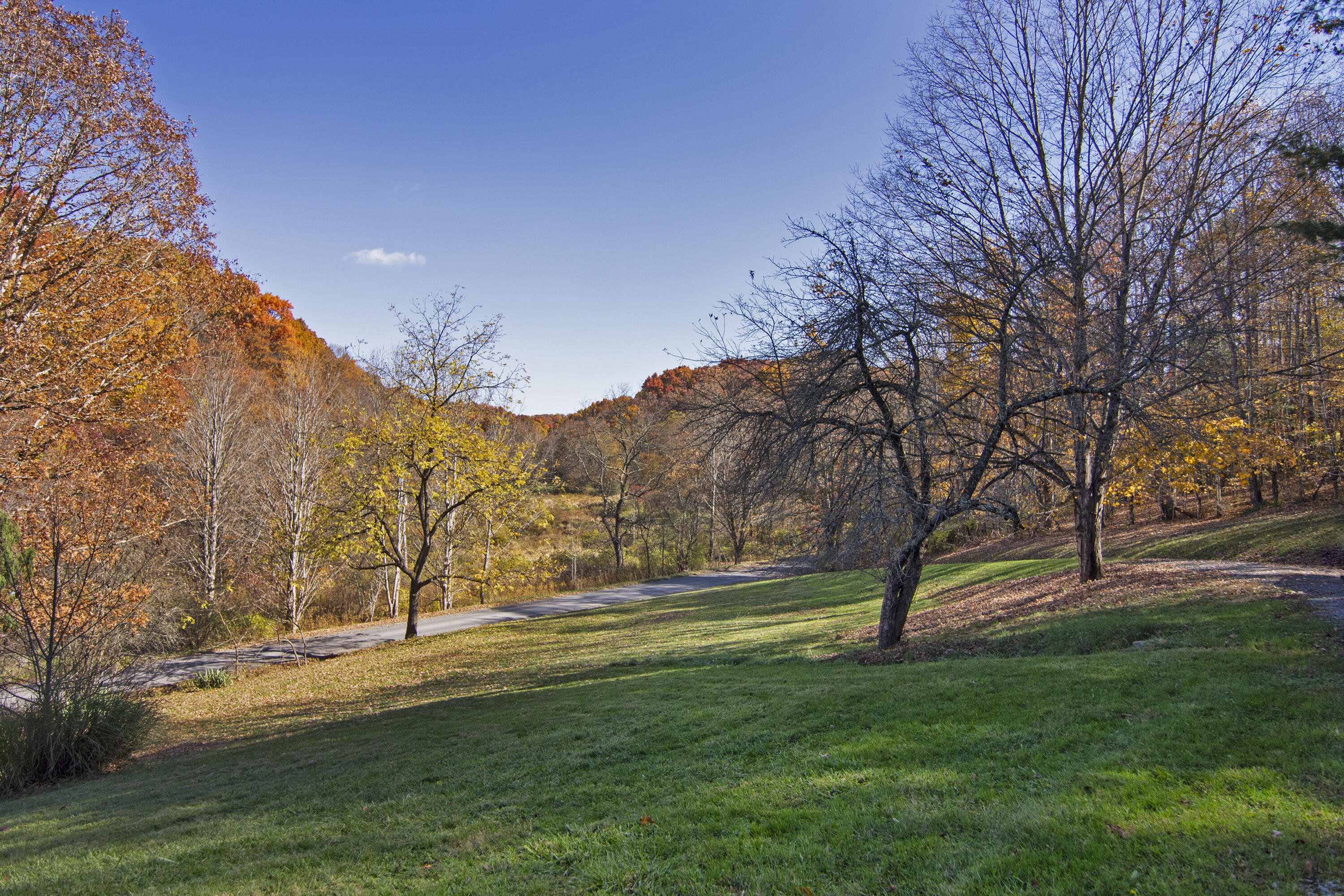 1674 Snake Run Rd, Alderson, West Virginia image 47