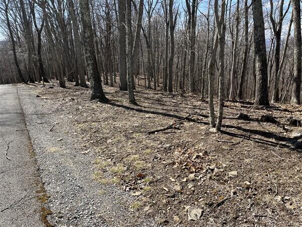 Lot 145 Withrow Landing #145, Caldwell, West Virginia image 11