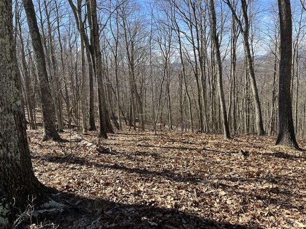 Lot 145 Withrow Landing #145, Caldwell, West Virginia image 3