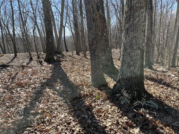 Lot 145 Withrow Landing #145, Caldwell, West Virginia image 2