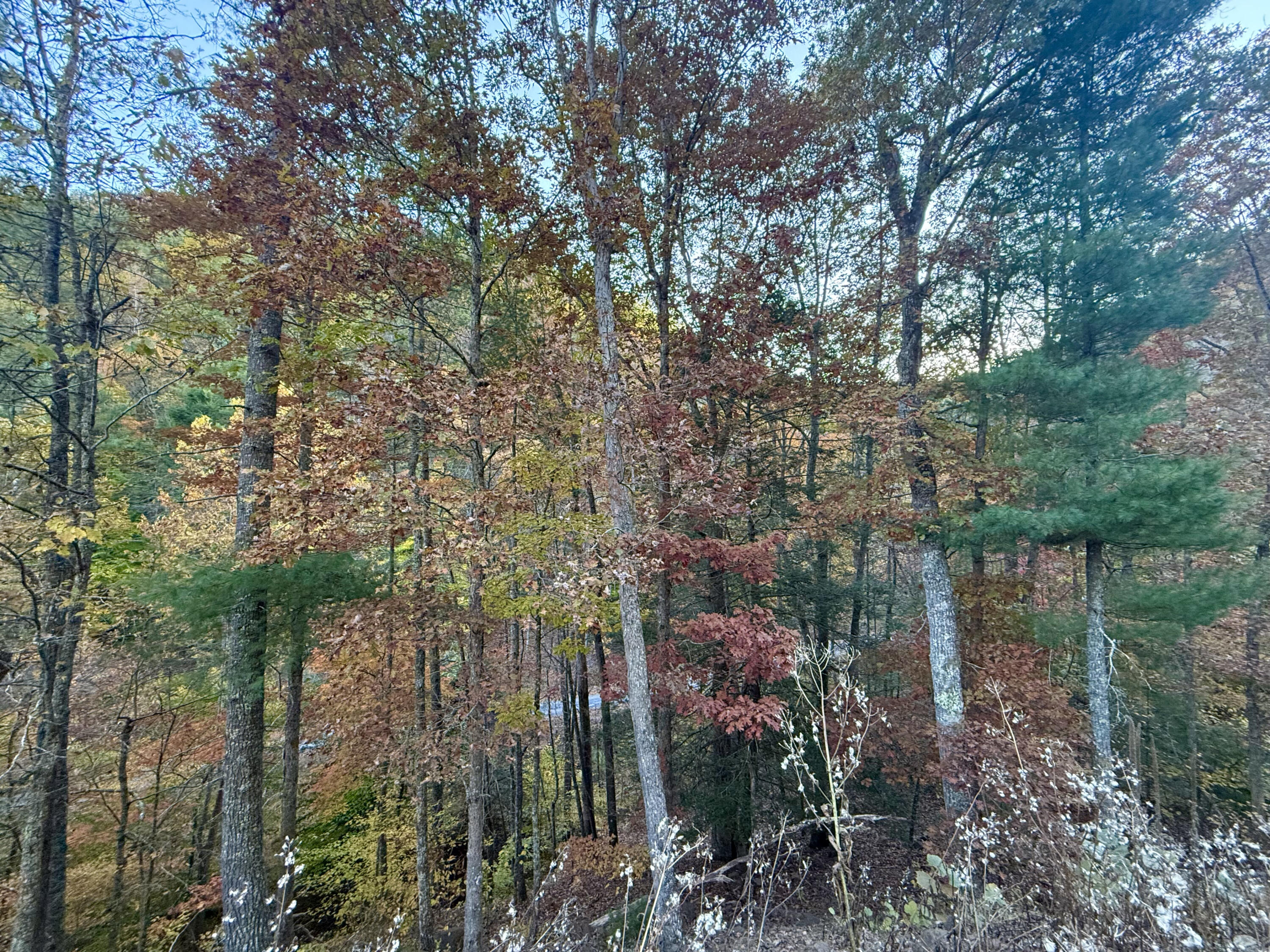 Lot 50 Pine Ridge Way #50, Caldwell, West Virginia image 22