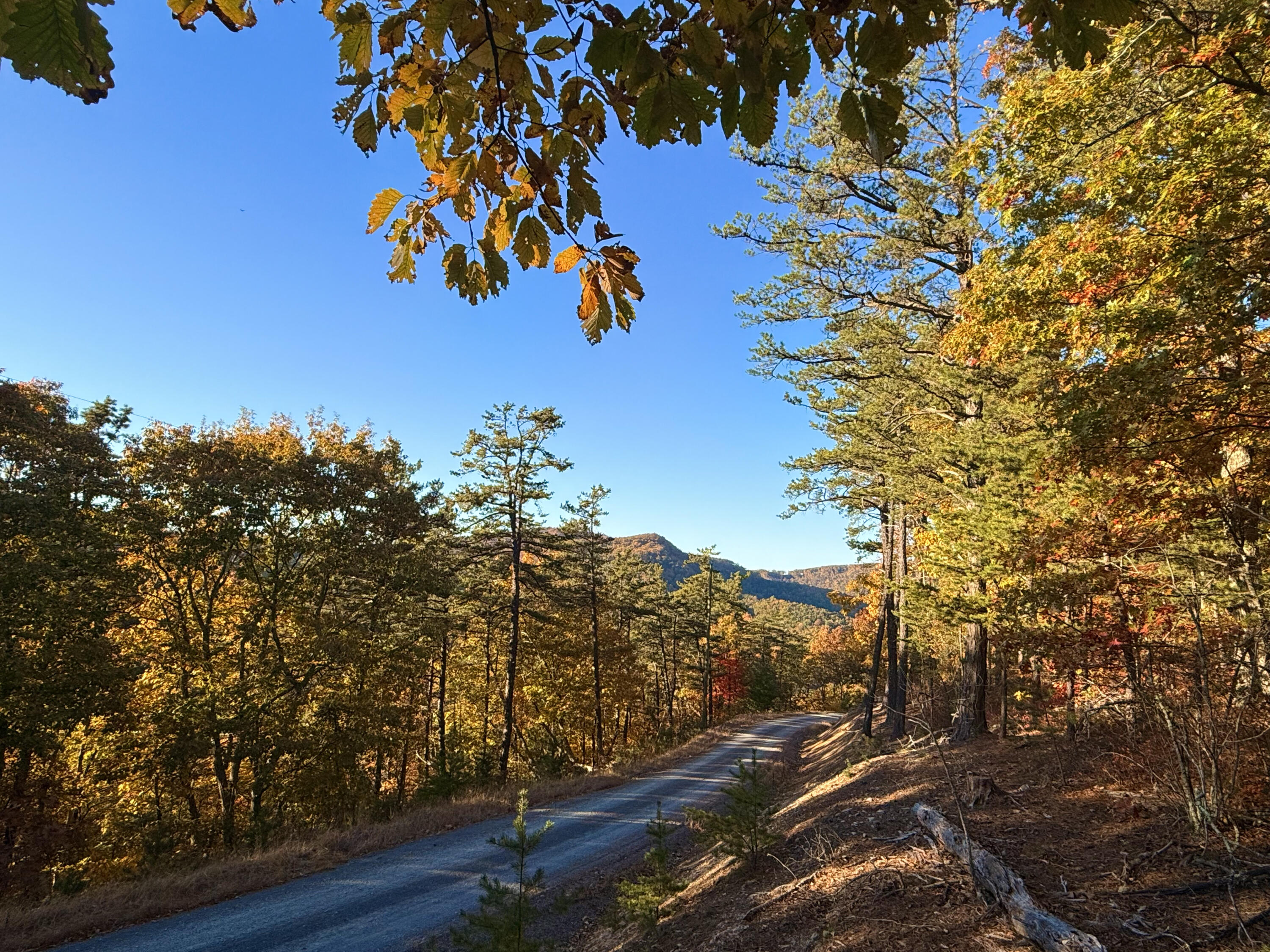 Lot 50 Pine Ridge Way #50, Caldwell, West Virginia image 6