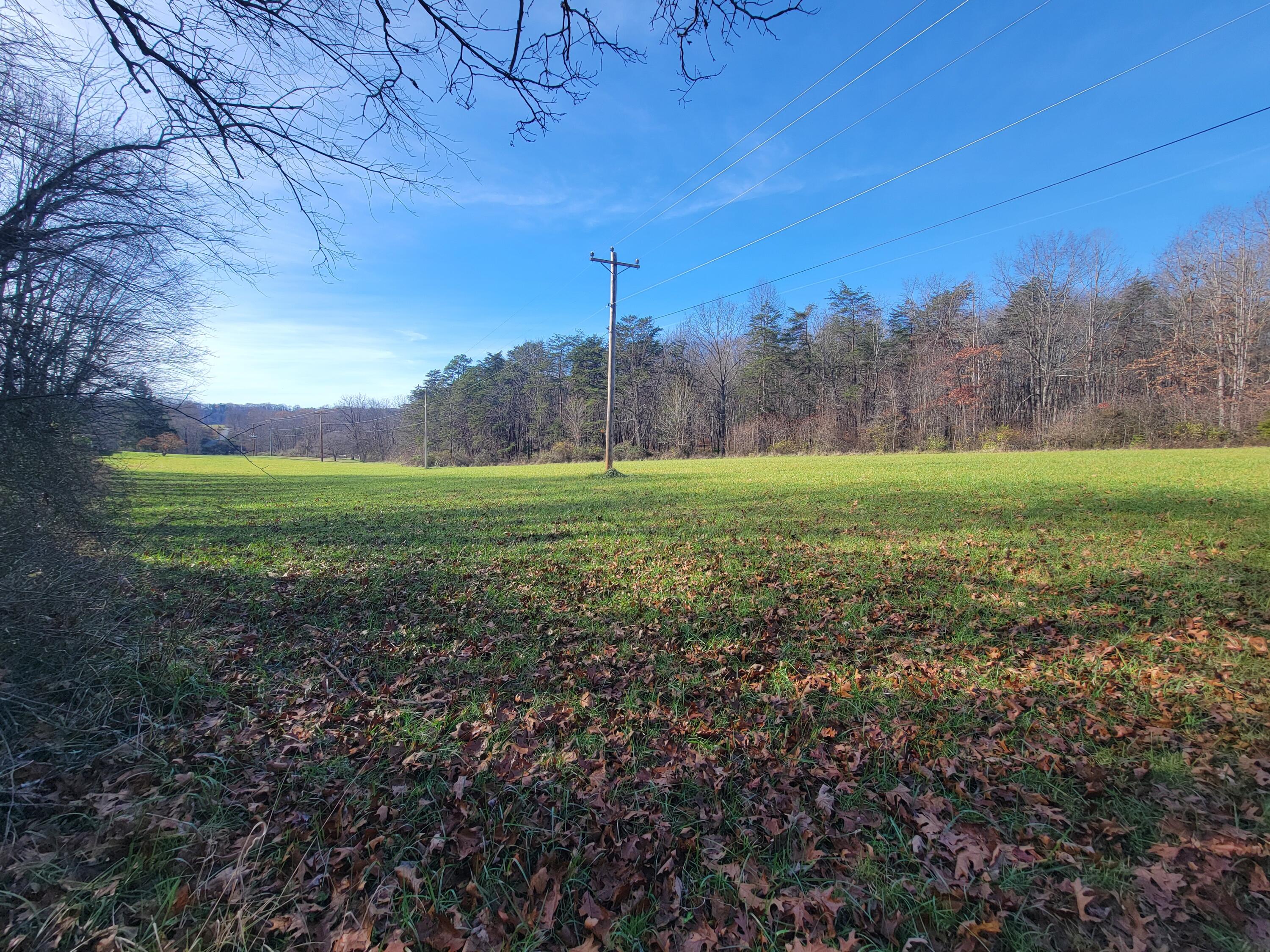 Pinhook Rd, Peterstown, West Virginia image 7