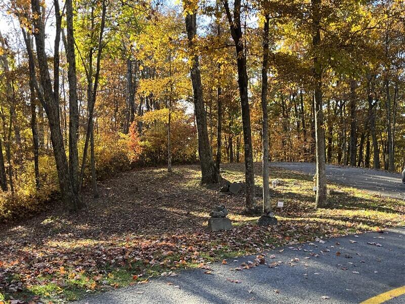 Lot 111 Trillium Ln #111, Caldwell, West Virginia image 6