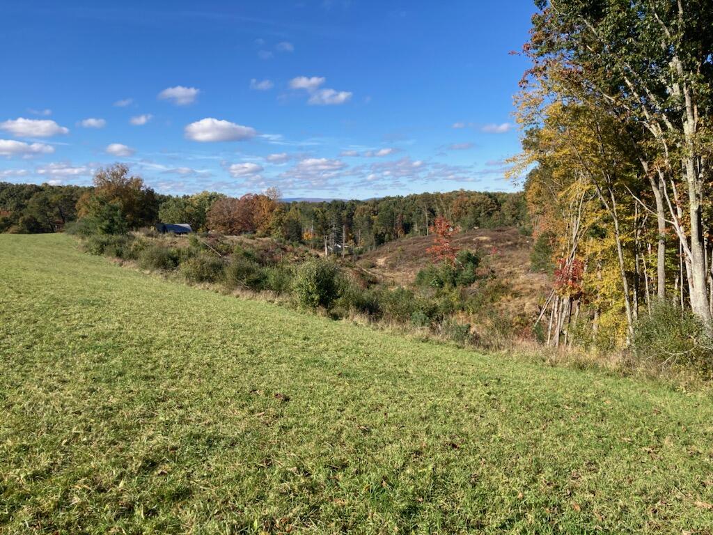 Tbd Muddy Creek Mountain Road, Lewisburg, West Virginia image 2