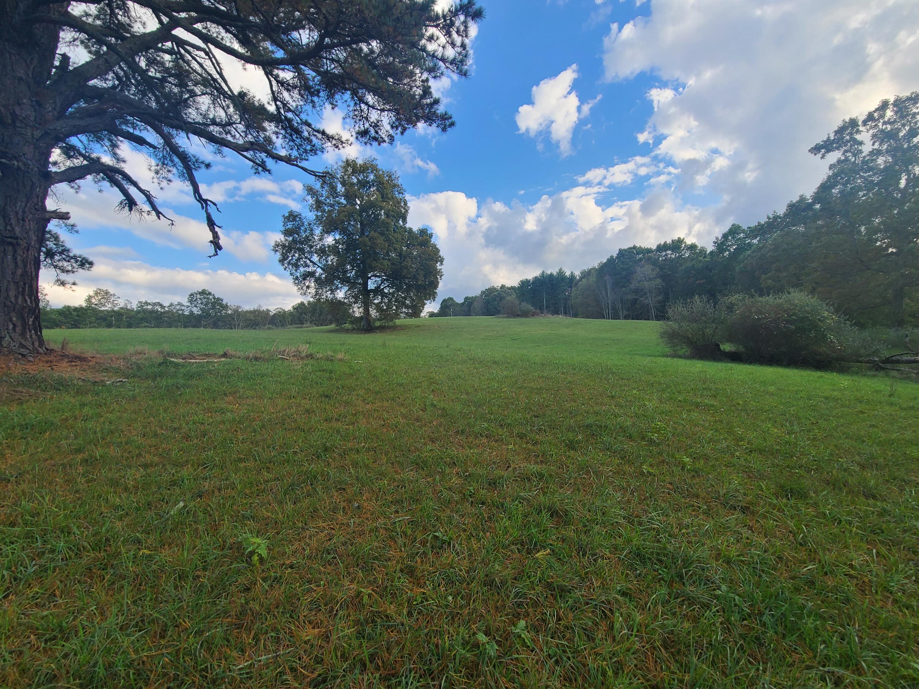 Tbd Muddy Creek Mountain Road, Lewisburg, West Virginia image 15