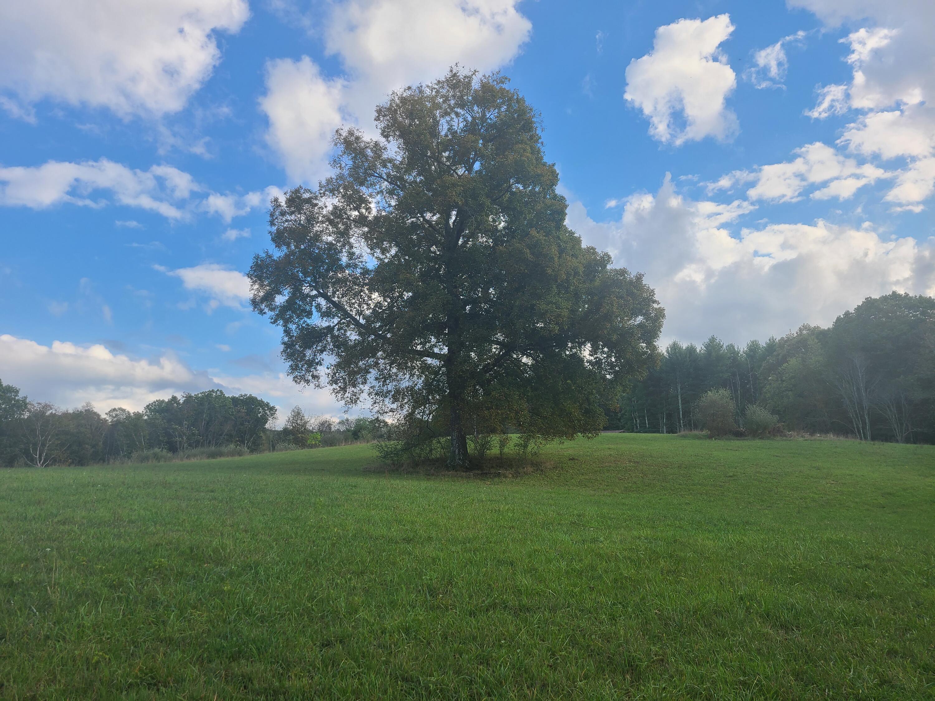 Tbd Muddy Creek Mountain Road, Lewisburg, West Virginia image 14