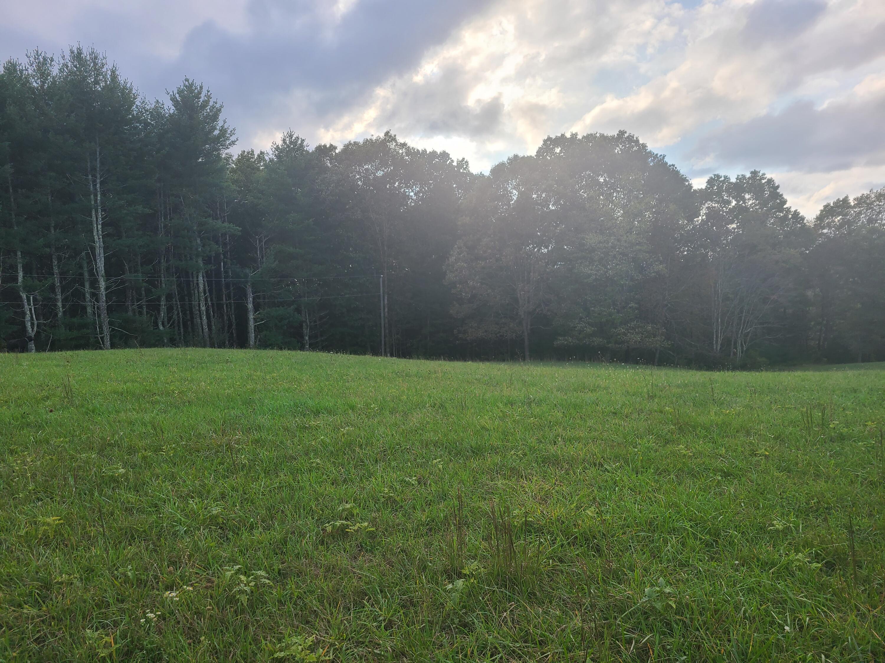 Tbd Muddy Creek Mountain Road, Lewisburg, West Virginia image 4