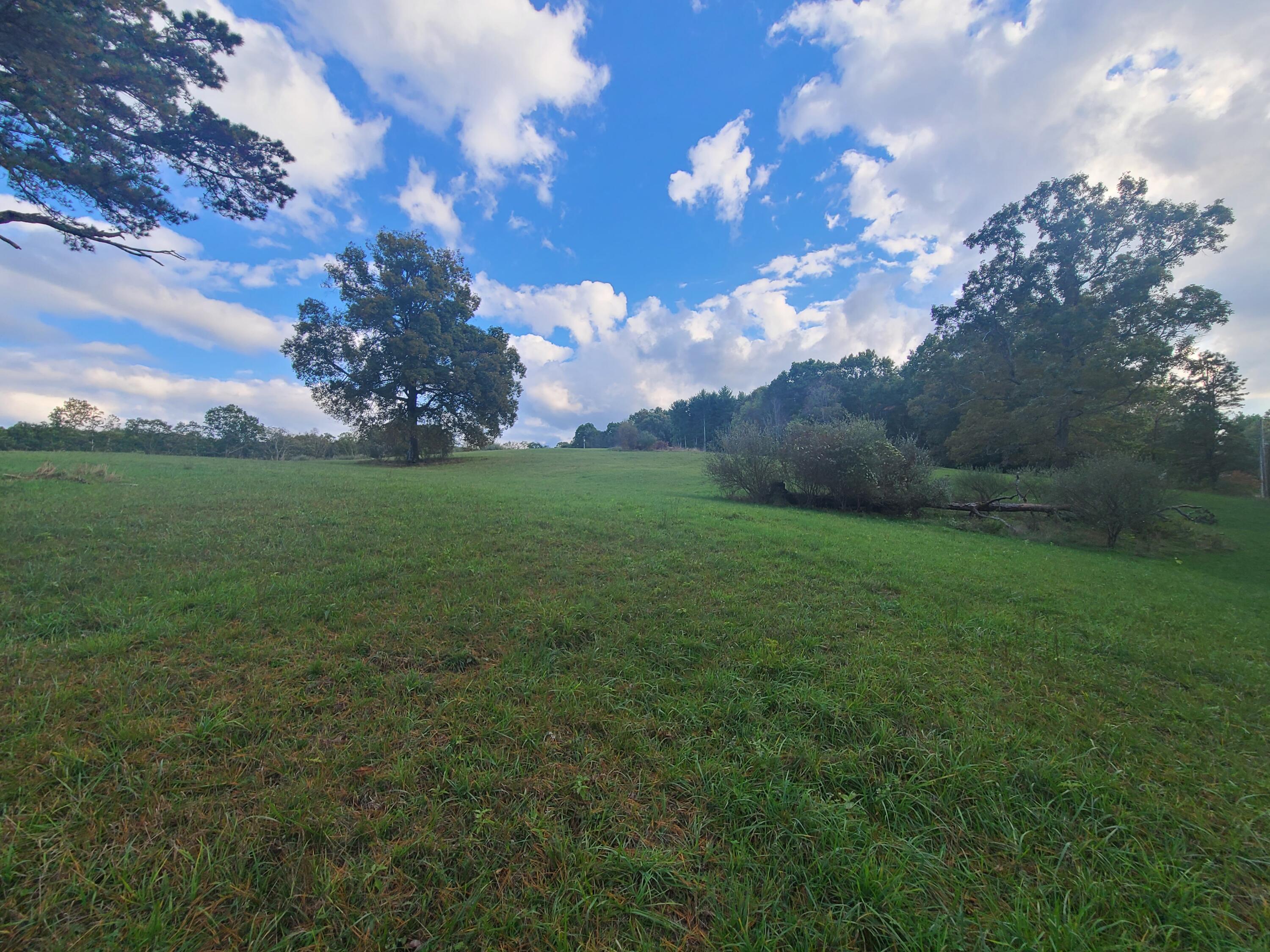 Tbd Muddy Creek Mountain Road, Lewisburg, West Virginia image 17