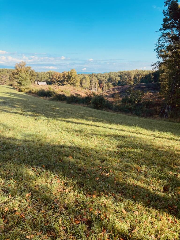 Tbd Muddy Creek Mountain Road, Lewisburg, West Virginia image 3