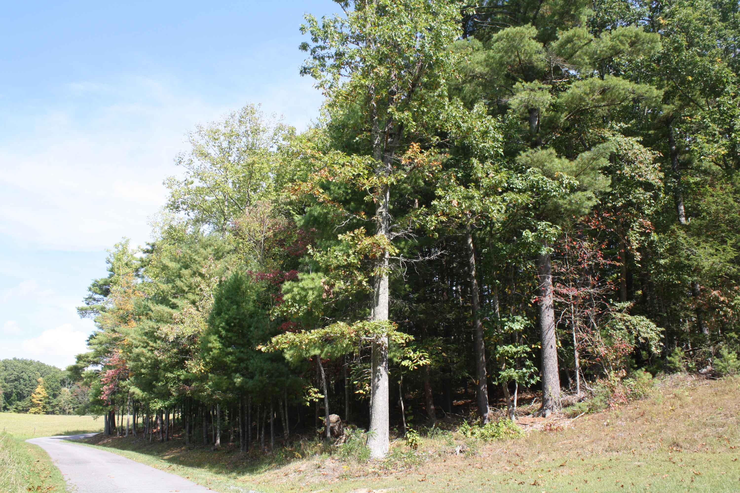 Lot 25 Old St Clair Road #PIPESTEM POINTE, Pipestem, West Virginia image 2