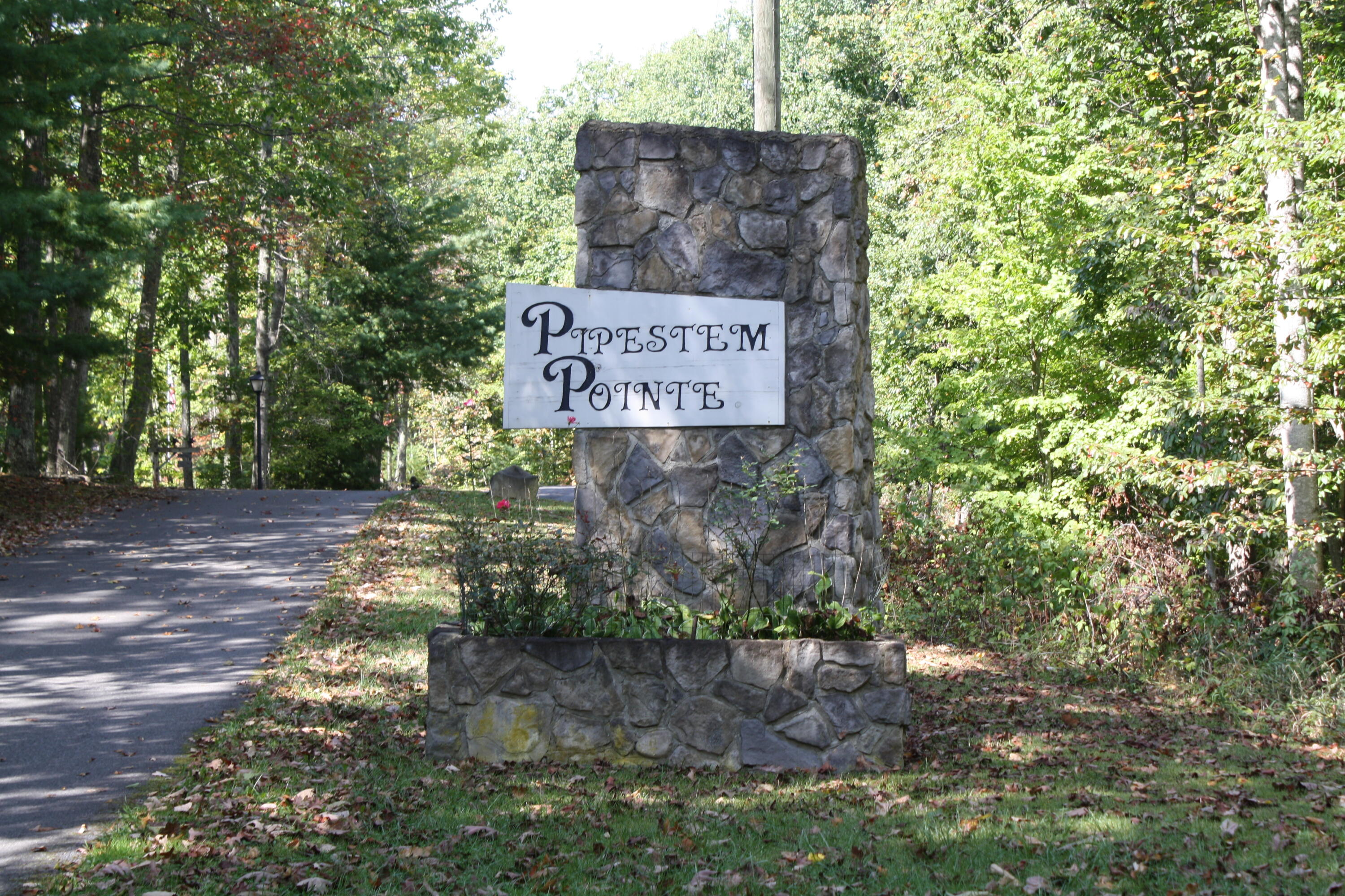 Lot 25 Old St Clair Road #PIPESTEM POINTE, Pipestem, West Virginia image 1