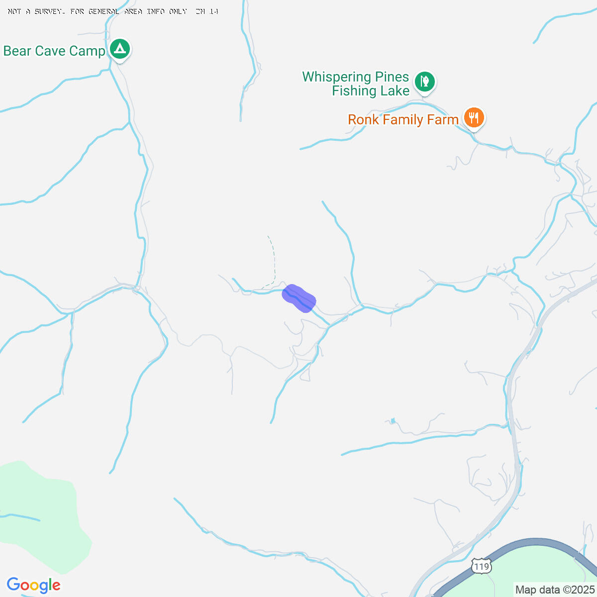 55 N Smith Rd, Alum Creek, Texas image 5