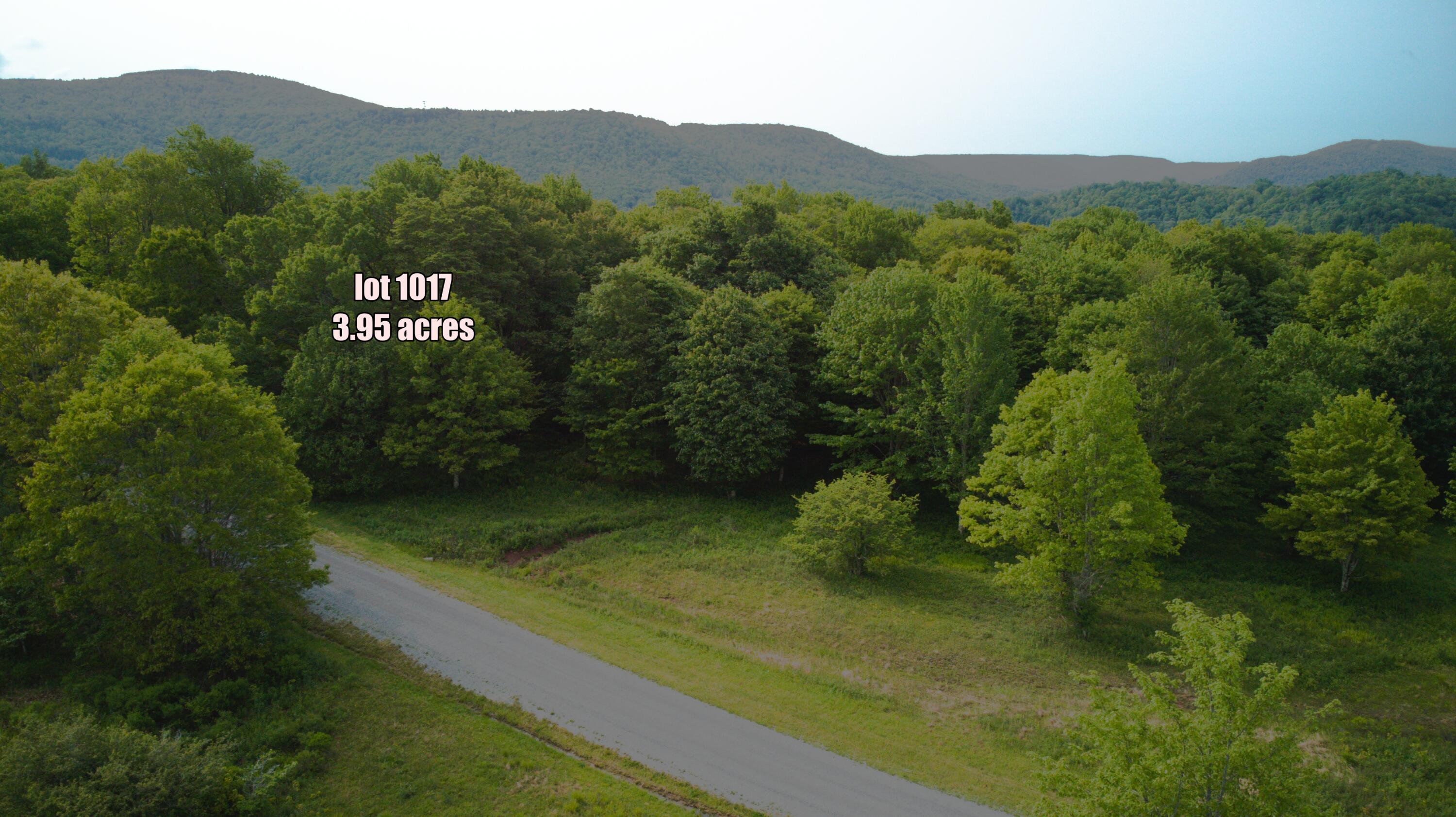 1017-1021 Sunset Mountain Village #1017,1019,1021, Slatyfork, Pennsylvania image 16