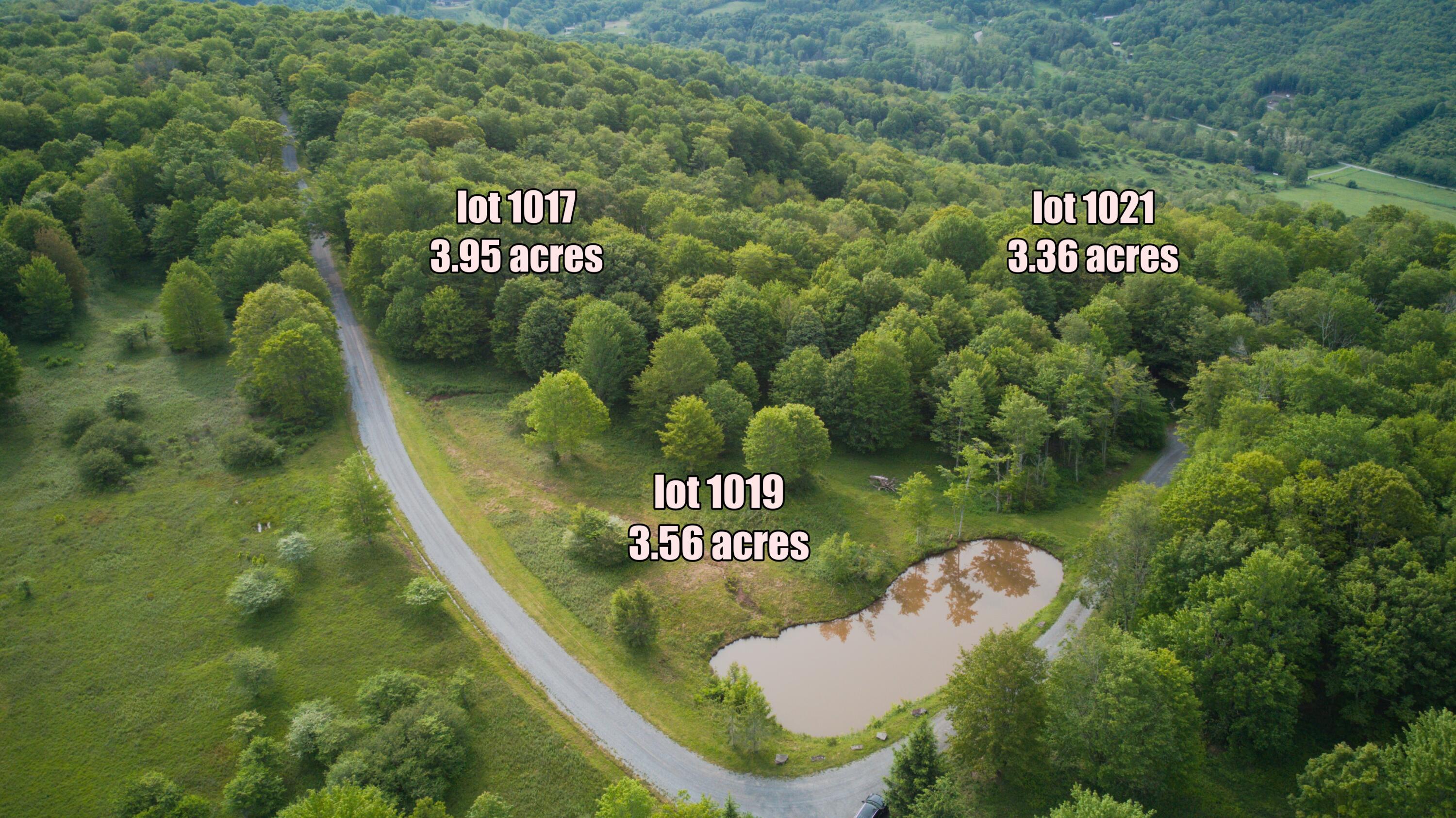 1017-1021 Sunset Mountain Village #1017,1019,1021, Slatyfork, Pennsylvania image 6