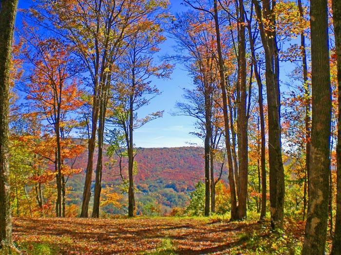 1017-1021 Sunset Mountain Village #1017,1019,1021, Slatyfork, Pennsylvania image 20