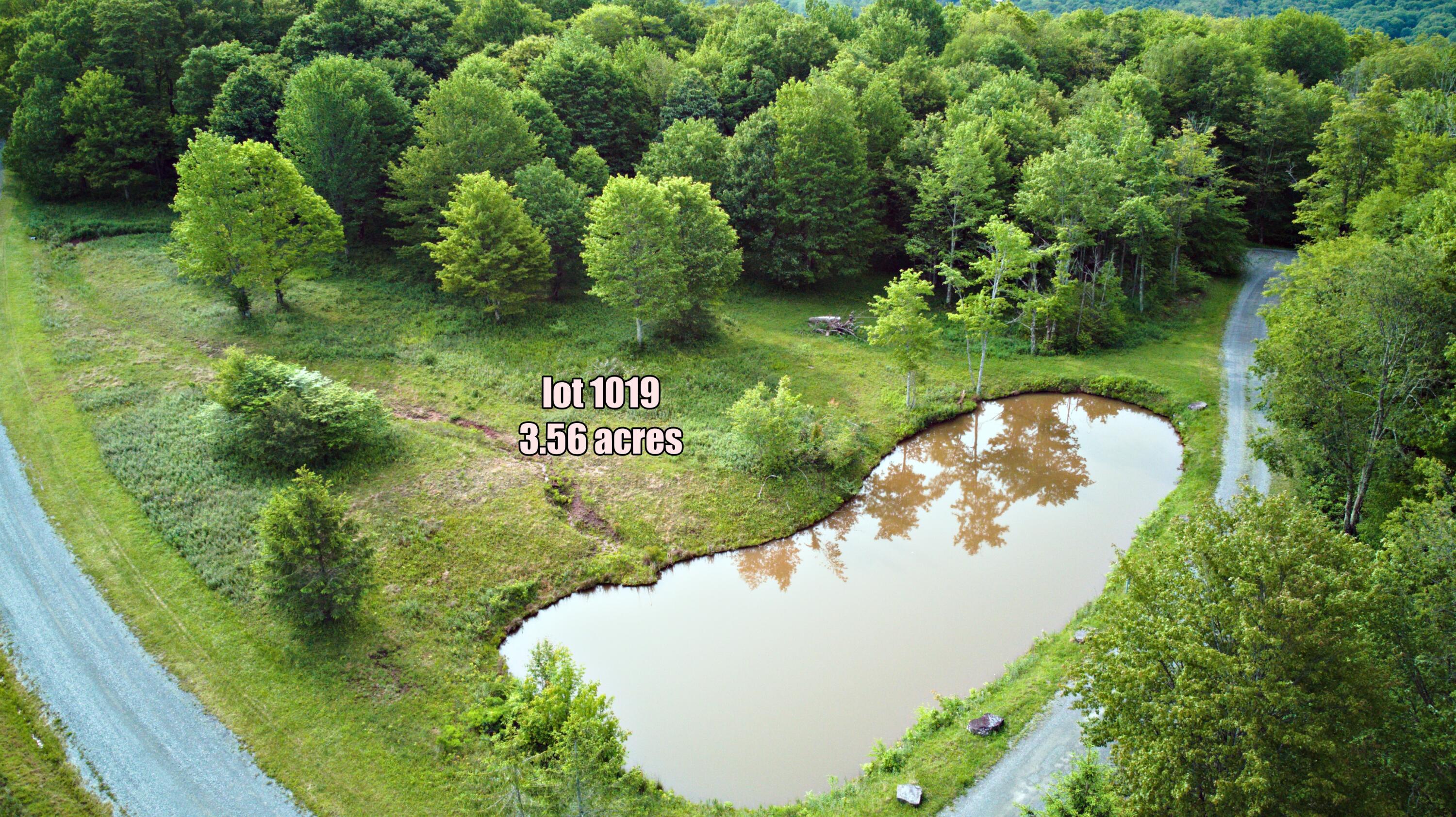 1017-1021 Sunset Mountain Village #1017,1019,1021, Slatyfork, Pennsylvania image 10