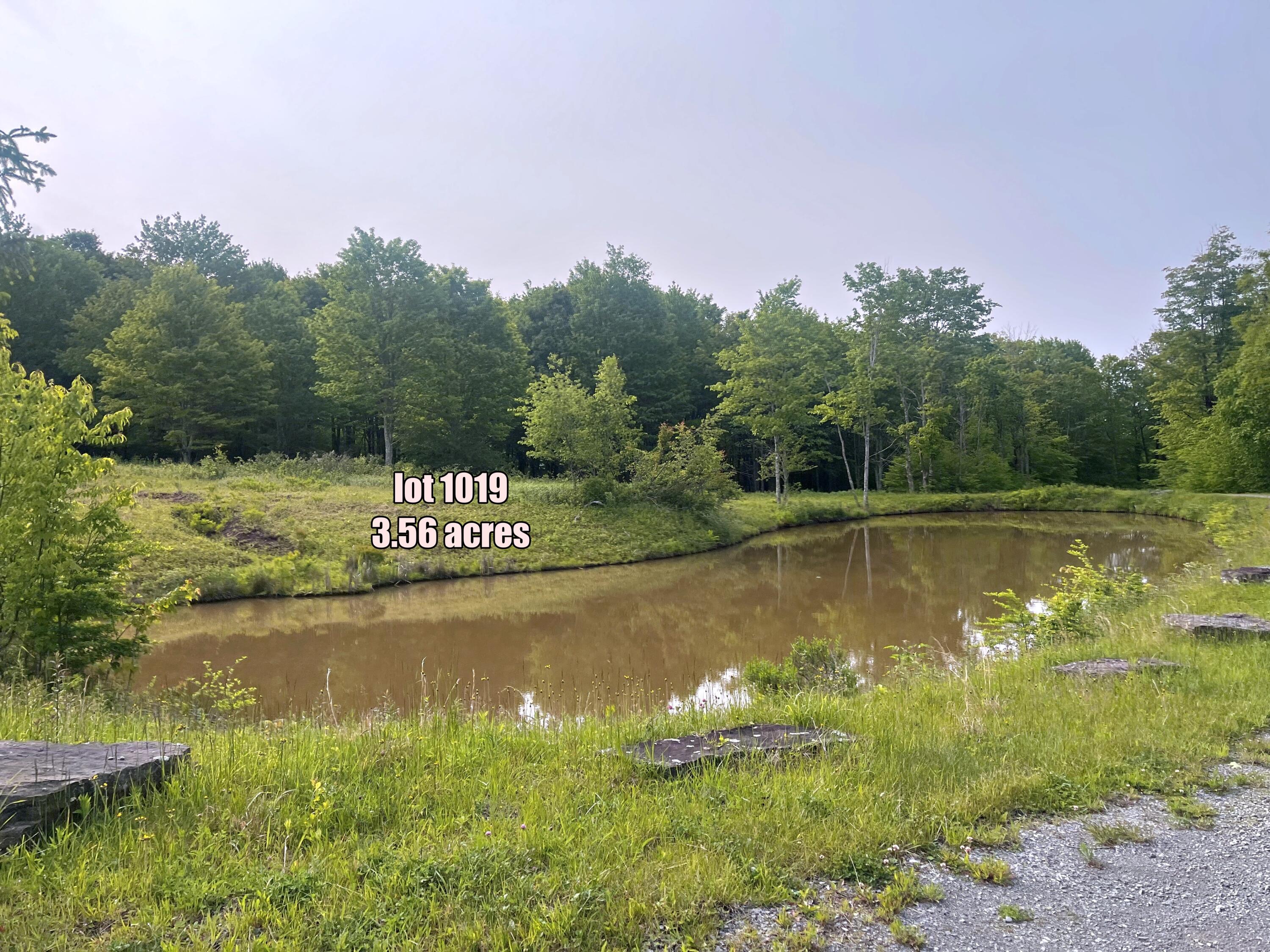 1017-1021 Sunset Mountain Village #1017,1019,1021, Slatyfork, Pennsylvania image 18