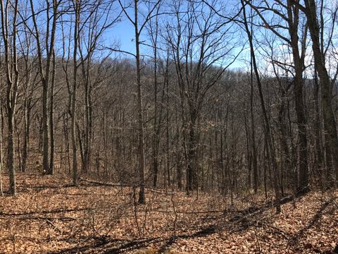 Vacant Land For Sale - LOT 39 Wildwood Rdg<br/> Caldwell, WV 24925