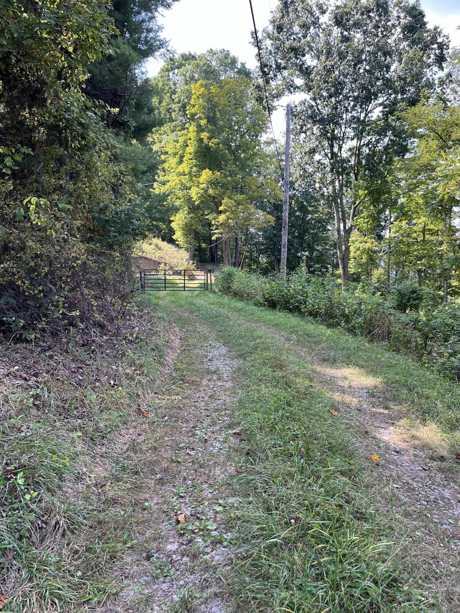 Lot 4 Ellison Ridge Rd #4, Jumping Branch, West Virginia image 4