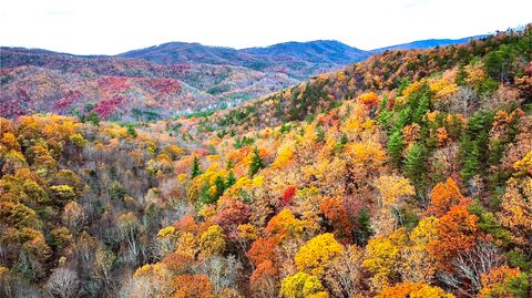 Homes For Sale - Blackberry Way Lot 19 Tract B<br/> Caldwell, WV 24925