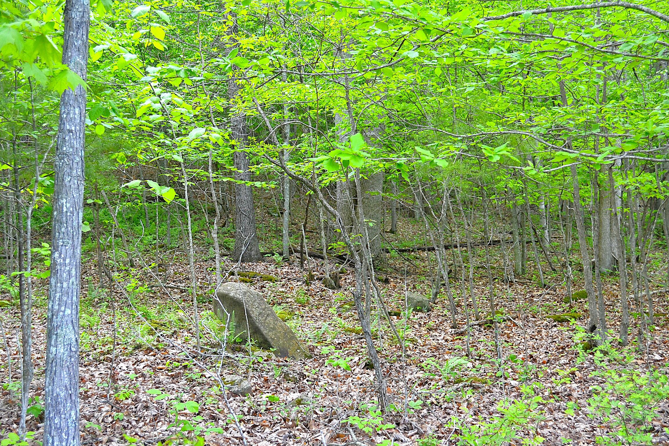Germany Rd, Renick, Texas image 3
