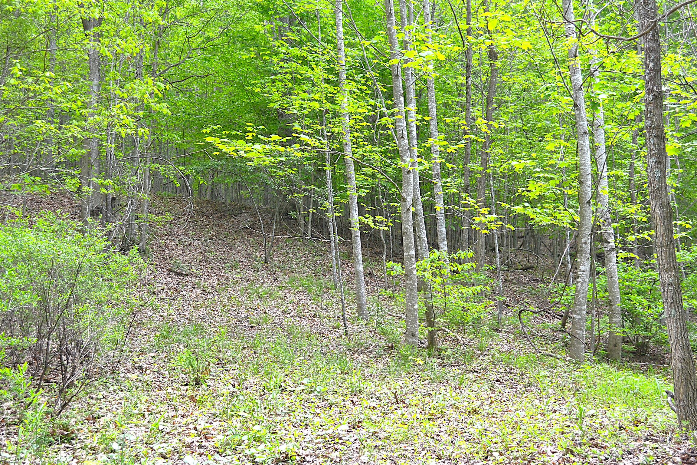Germany Rd, Renick, Texas image 4