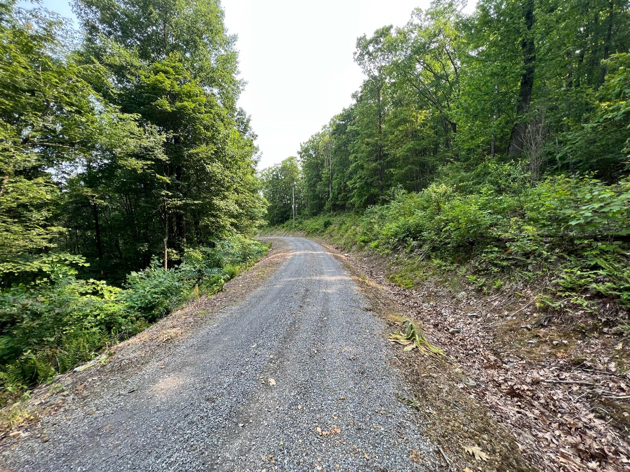 Lot 29 Katy Drive #OVERLOOK AT GREENBRIER, White Sulphur Springs, West Virginia image 3