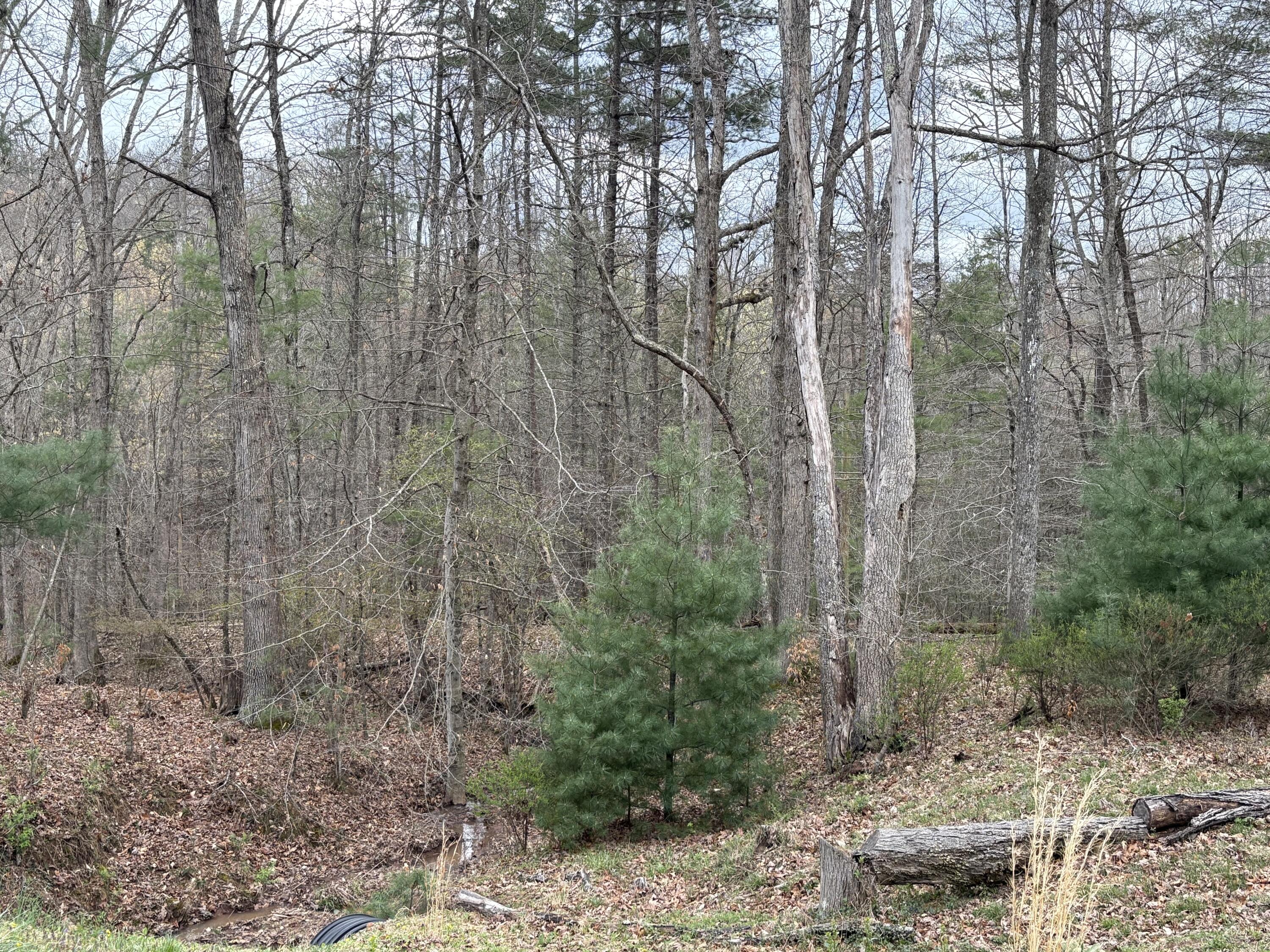 883 Stonehenge Pkwy, Caldwell, Pennsylvania image 14