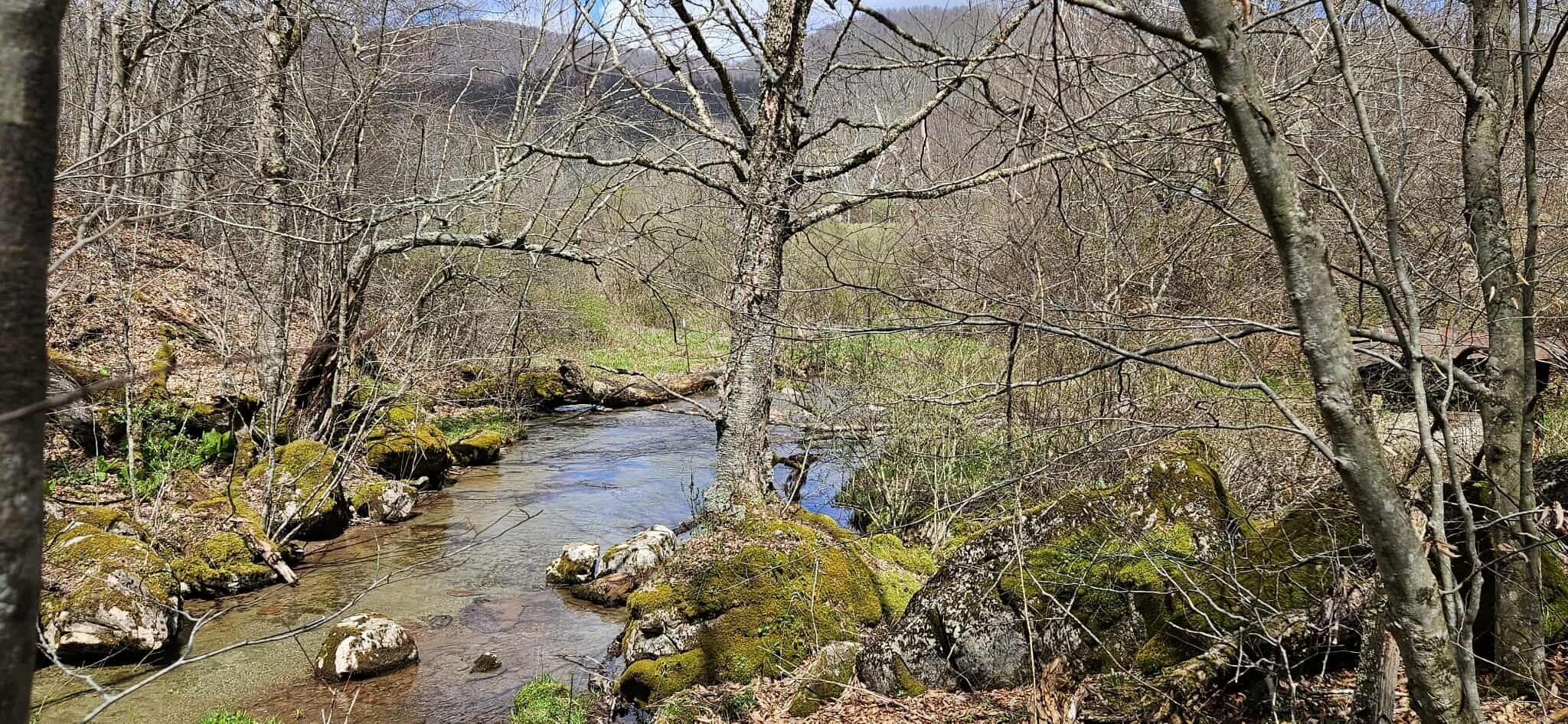 38162 Seneca Trail, Slatyfork, Pennsylvania image 26