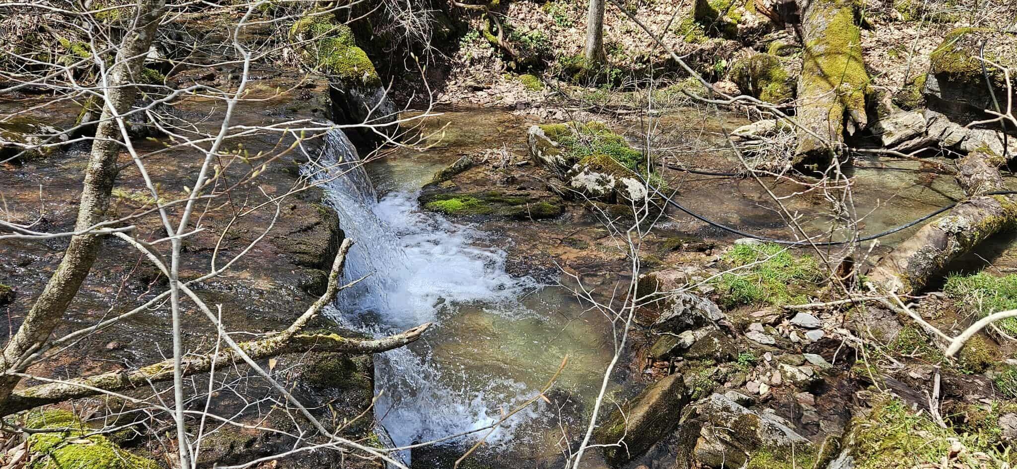 38162 Seneca Trail, Slatyfork, Pennsylvania image 23