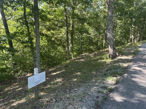 Vacant Land For Sale - LOT 20 Wildwood Rdg<br/> Caldwell, WV 24925