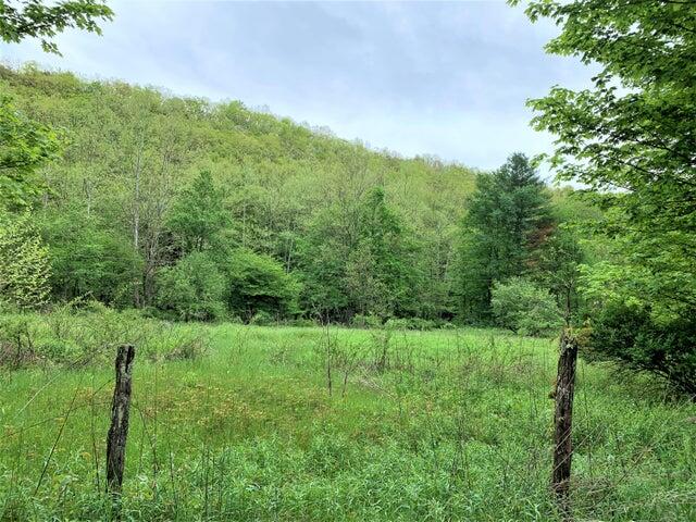 Co Rte 219/3 #STONEY CREEK RD., Marlinton, West Virginia image 12