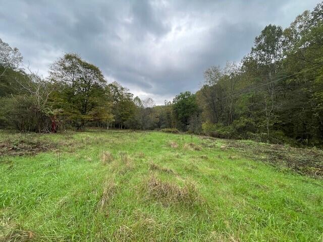 Co Rte 219/3 #STONEY CREEK RD., Marlinton, West Virginia image 20