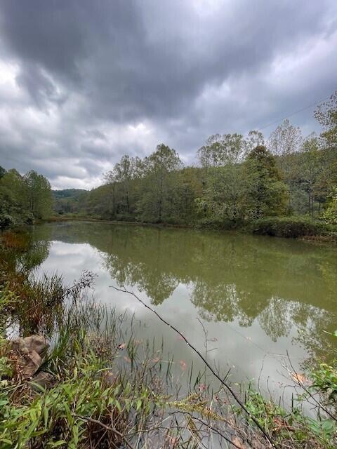 Co Rte 219/3 #STONEY CREEK RD., Marlinton, West Virginia image 21