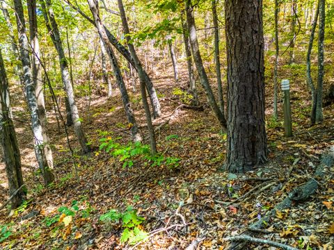 Vacant Land For Sale - Retreat Lot 57 White Rock Trl<br/> Caldwell, WV 24925