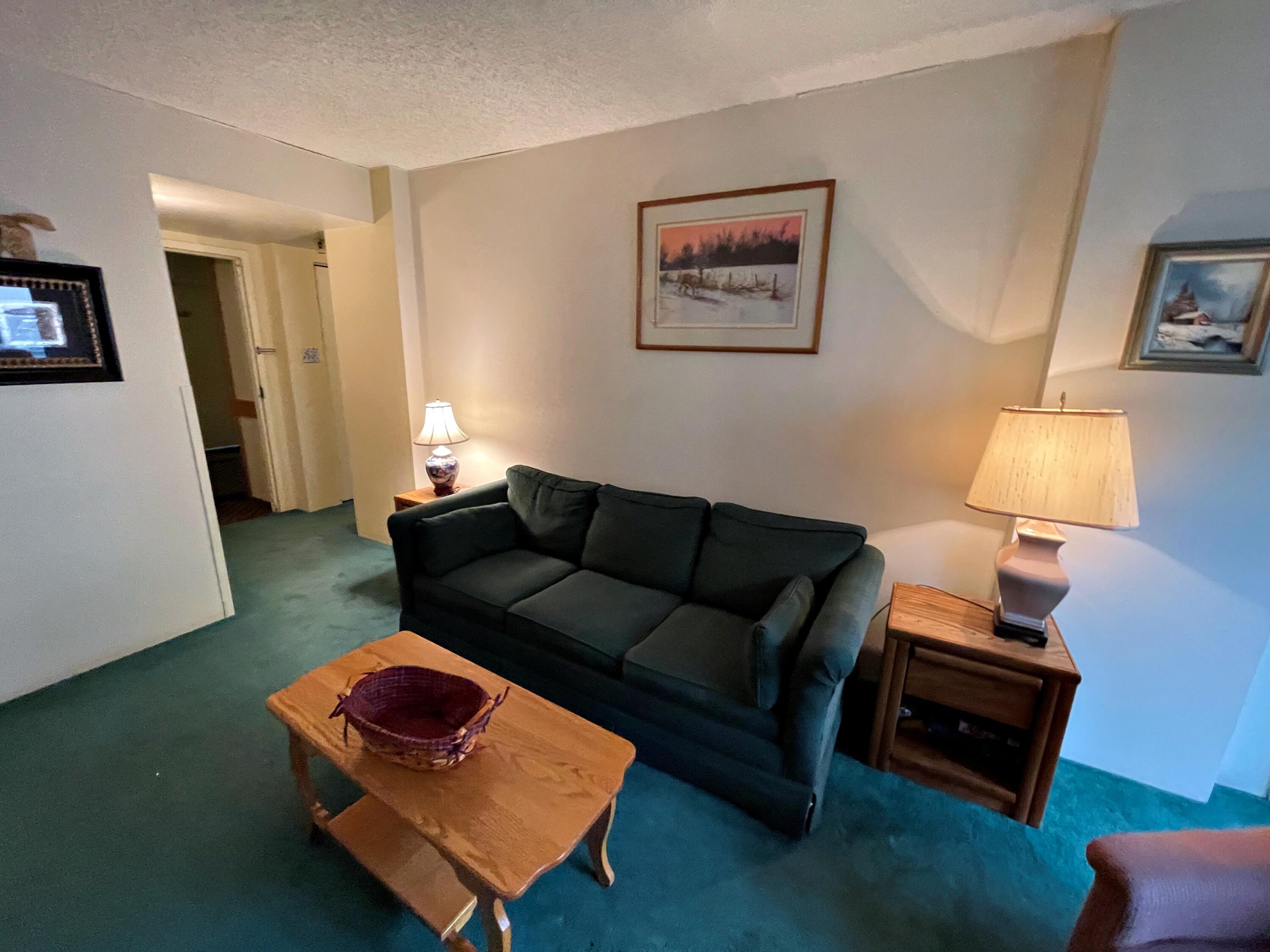 2303 Silver Creek, Snowshoe, West Virginia image 4