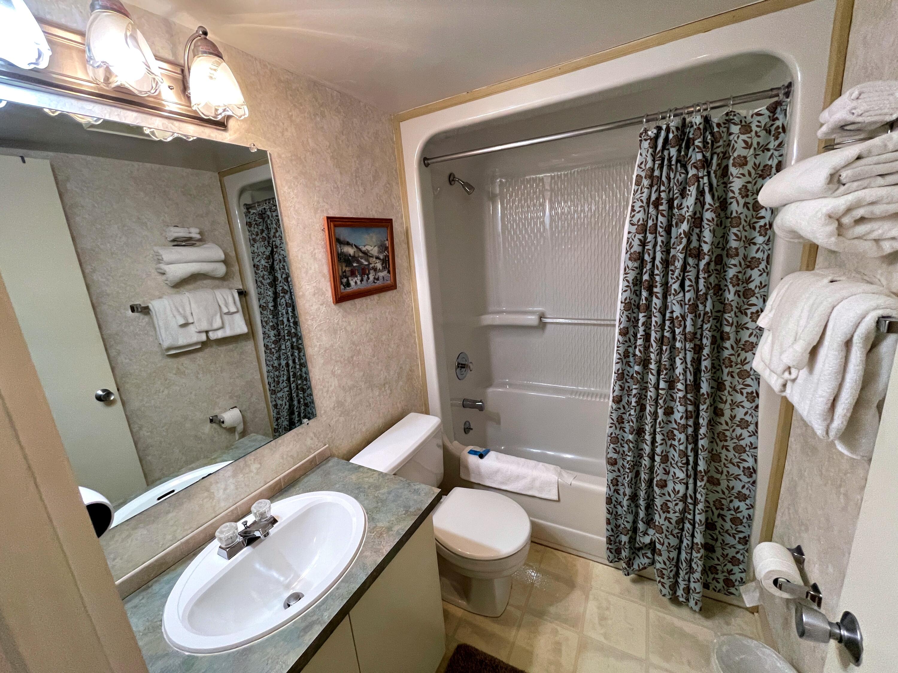 2303 Silver Creek, Snowshoe, West Virginia image 9